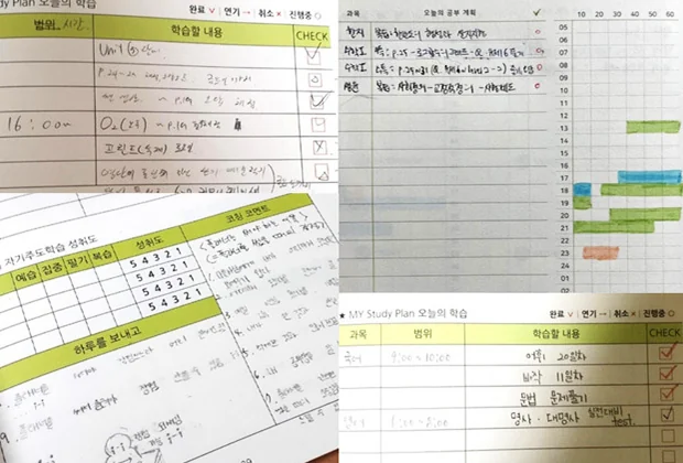 플래너를 활용해 계획과 실행을 살펴보는 학습 관리 안내